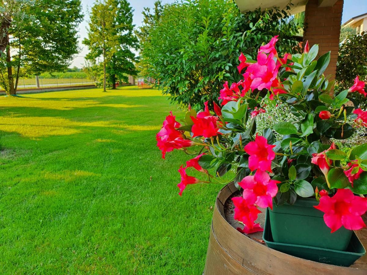 B&B Villalta Treviso Bagian luar foto